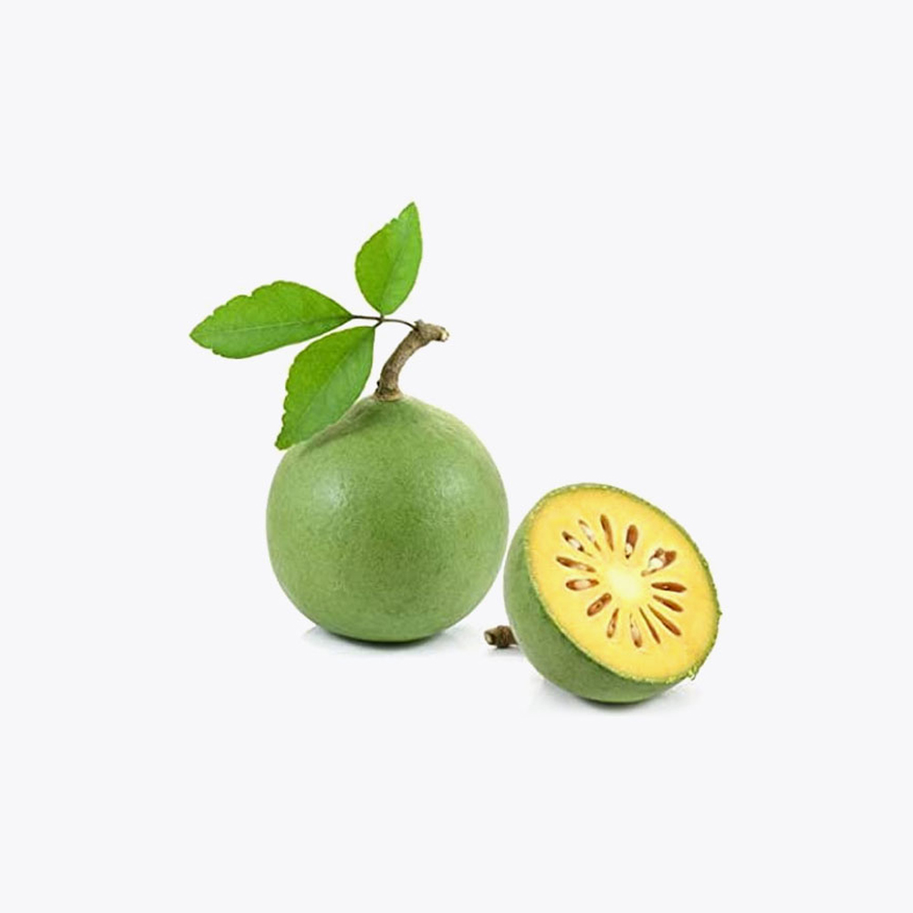 Bael Fruit Plant - Image 3