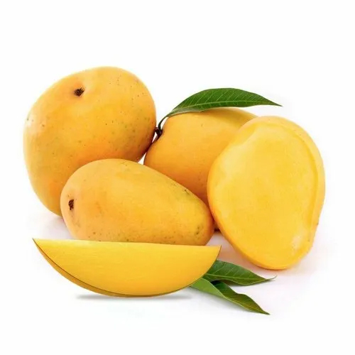 Banganpalli Mango Plant / బంగింపల్లి మామిడి మొక్క(Grafted) - Image 5